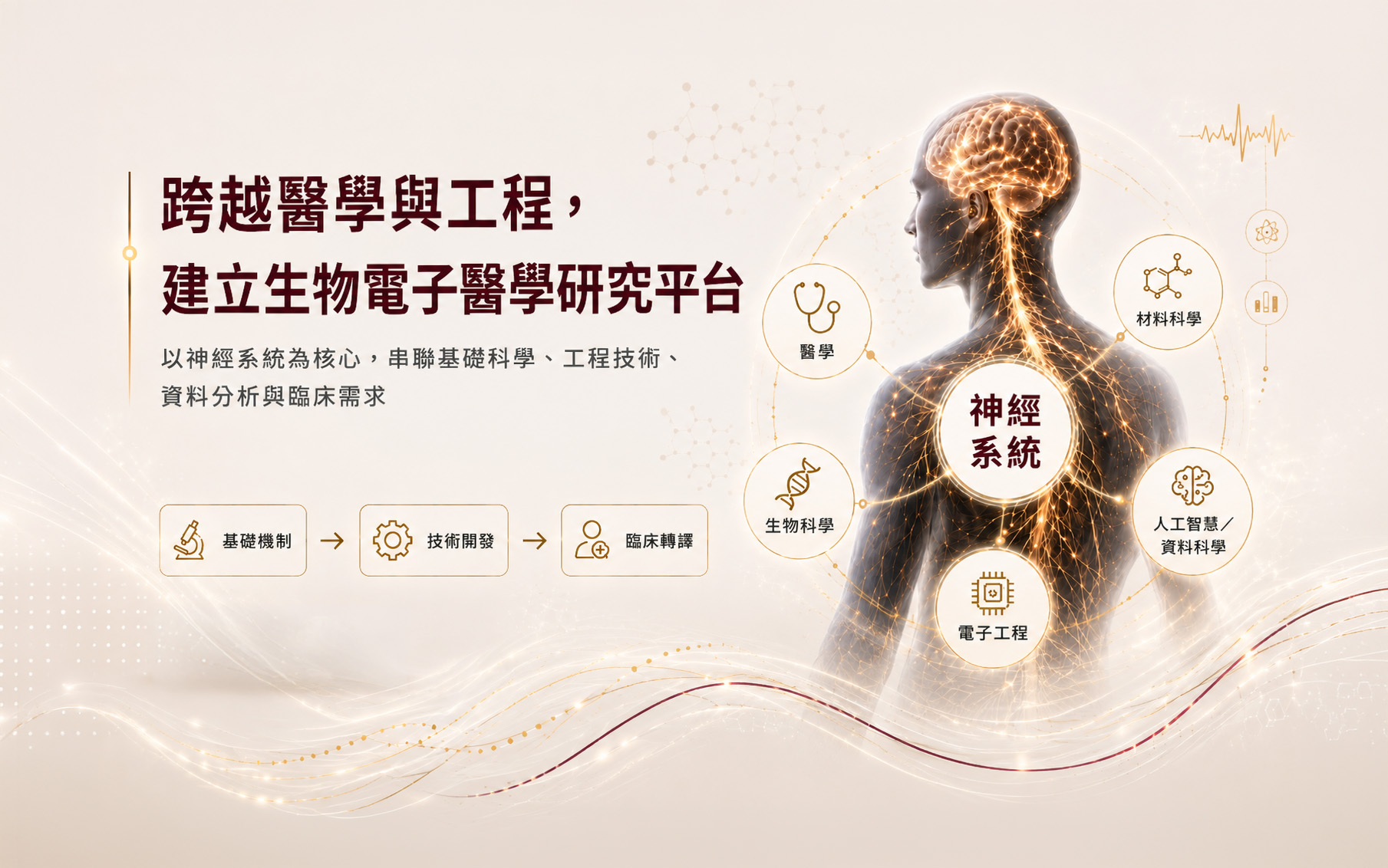 跨越醫學與工程，建立生物電子醫學研究平台電腦版圖示