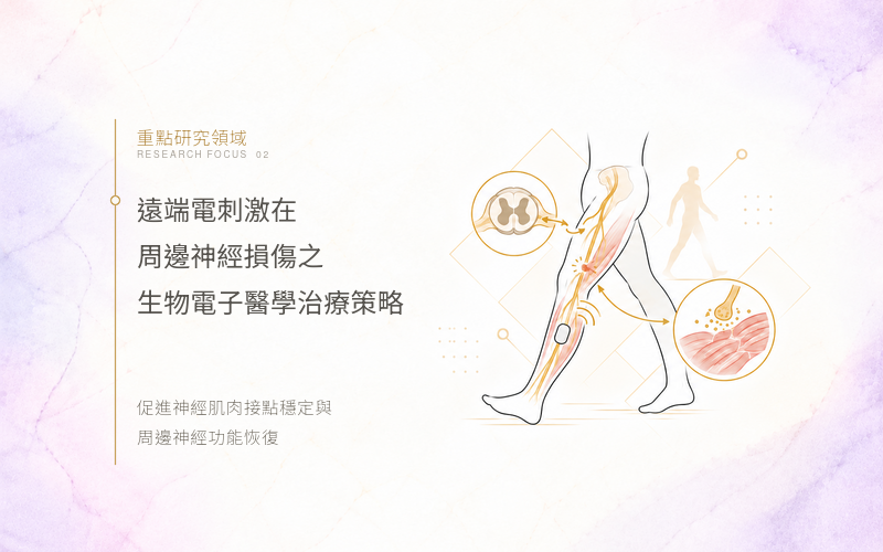 area2電腦版圖示