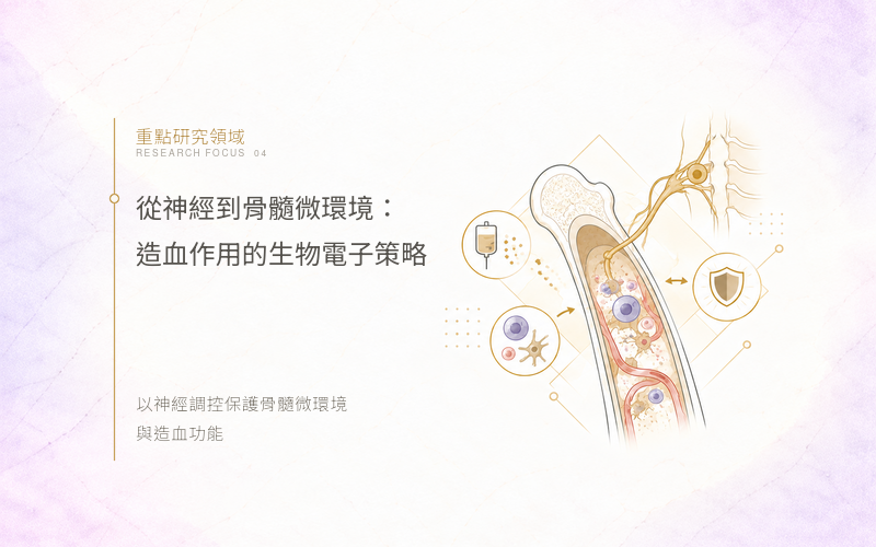 area4電腦版圖示
