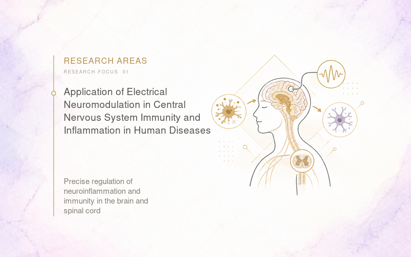 area1_eng電腦版圖示