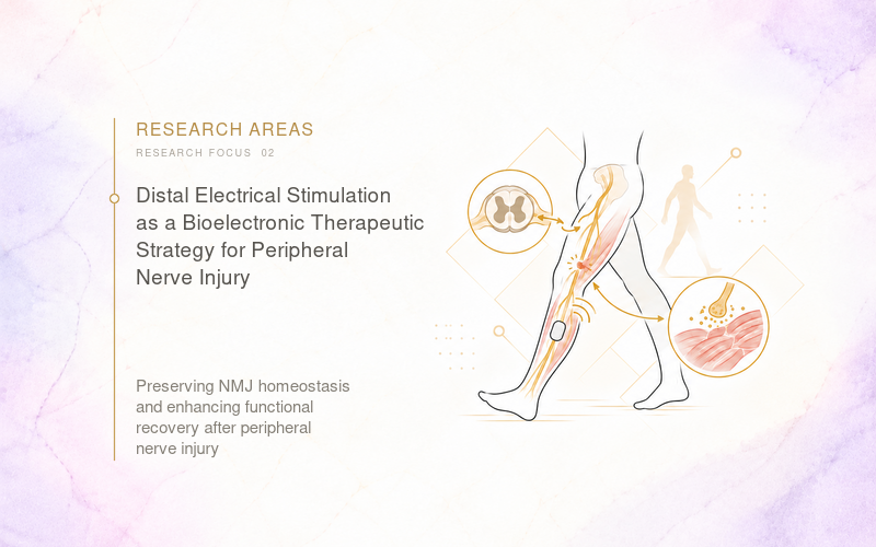 area2_Eng電腦版圖示